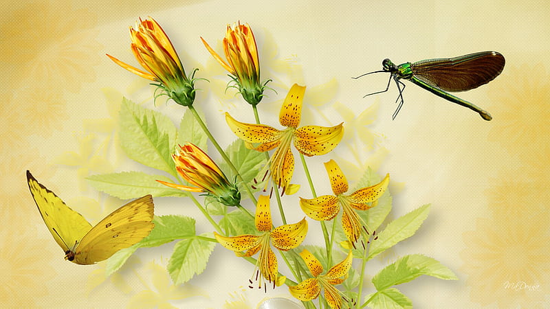 Tiger Lilies Dragonfly and Butterfly, butterfly, dragonfly, summer, flowers, yellow, firefox persona, tiger lily, HD wallpaper