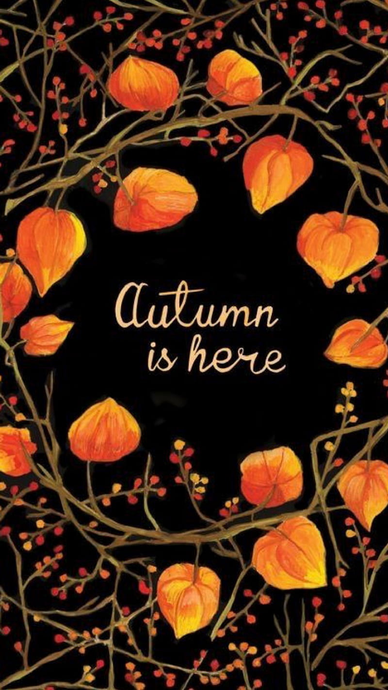 Autumn Is Here, autumn, black, designs, fall, halloween, holiday, leaves, nature, orange, seasons, HD phone wallpaper