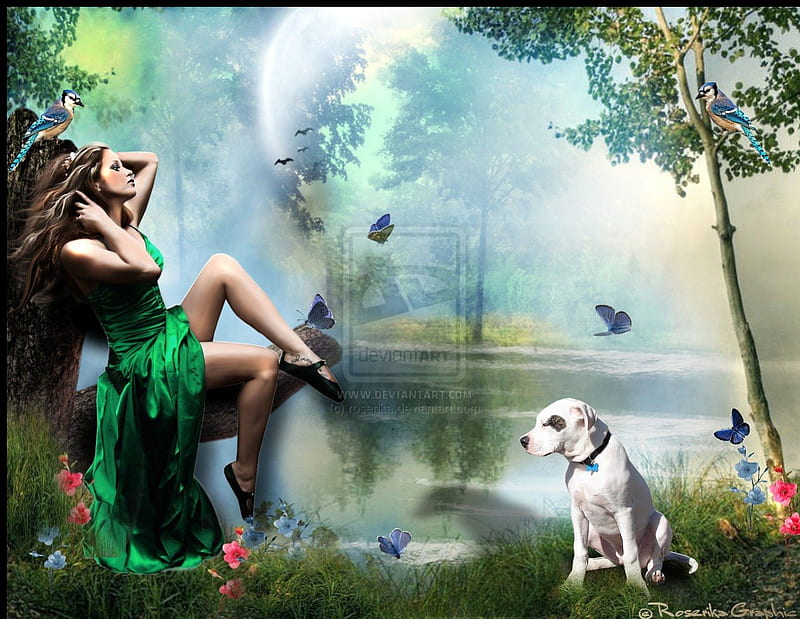 ~R E L A X I N G~, rocks, pretty, grass, conceptual, clouds, women, fantasy, splendor, manipulation, love, flowers, forests, face, insects, dog, rest, wings, lovely, relax, birds, sky, lips, trees, water, cool, flying, eyes, colorful, dress, charm, bonito, digital art, hair, leaves, people, girls, enchanted, puppy, animals, female, lakes, model, colors, butterflies, plants, HD wallpaper