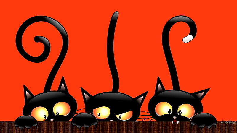 Tres gatos locos, gatos, tonto, artes, naranja, halloween, digitales, Fondo  de pantalla HD | Peakpx