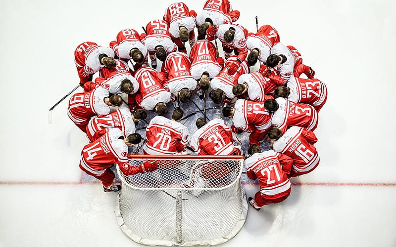 Hockey, ice, hockey team, all-star team, Tomas Duba, HD wallpaper
