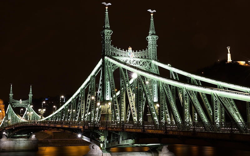 Budapest, Liberty Bridge, night, bridge, Hungary, HD wallpaper