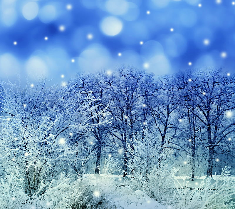 Beautiful Winter Fence House Bonito Farm Fantasy Splendor Grafik Blue Hd Wallpaper Peakpx