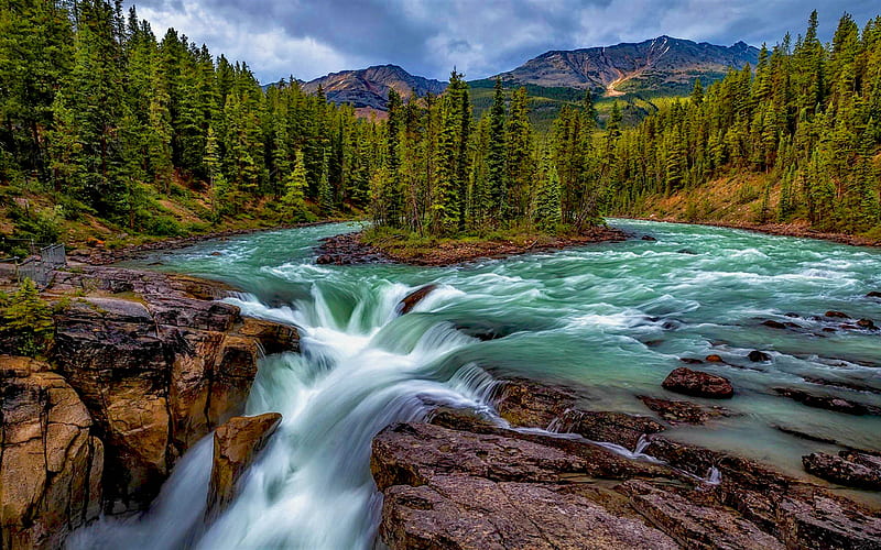 Sunwapta Falls, forest, canadian landmarks, Sunwapta River, Jasper National Park, Alberta, Canada, HD wallpaper