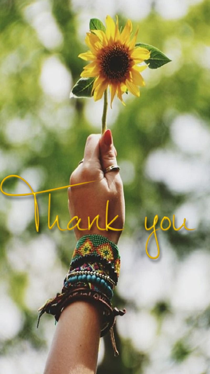 Thank you, flower, HD phone wallpaper | Peakpx