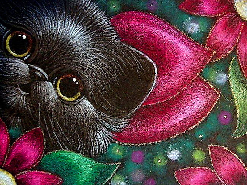 A persian for Margarita :), persian, flowers, black, cat, abstract, pink, HD wallpaper