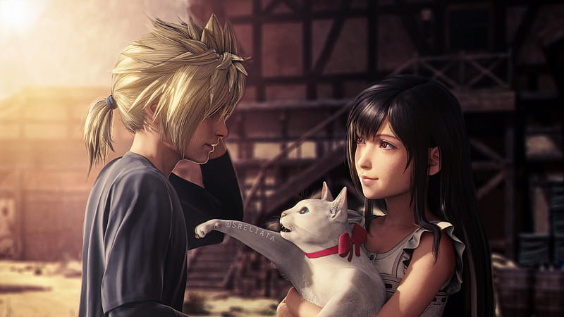 Cloud Strife Tifa Lockhart Cat Final Fantasy VII Remake, HD wallpaper