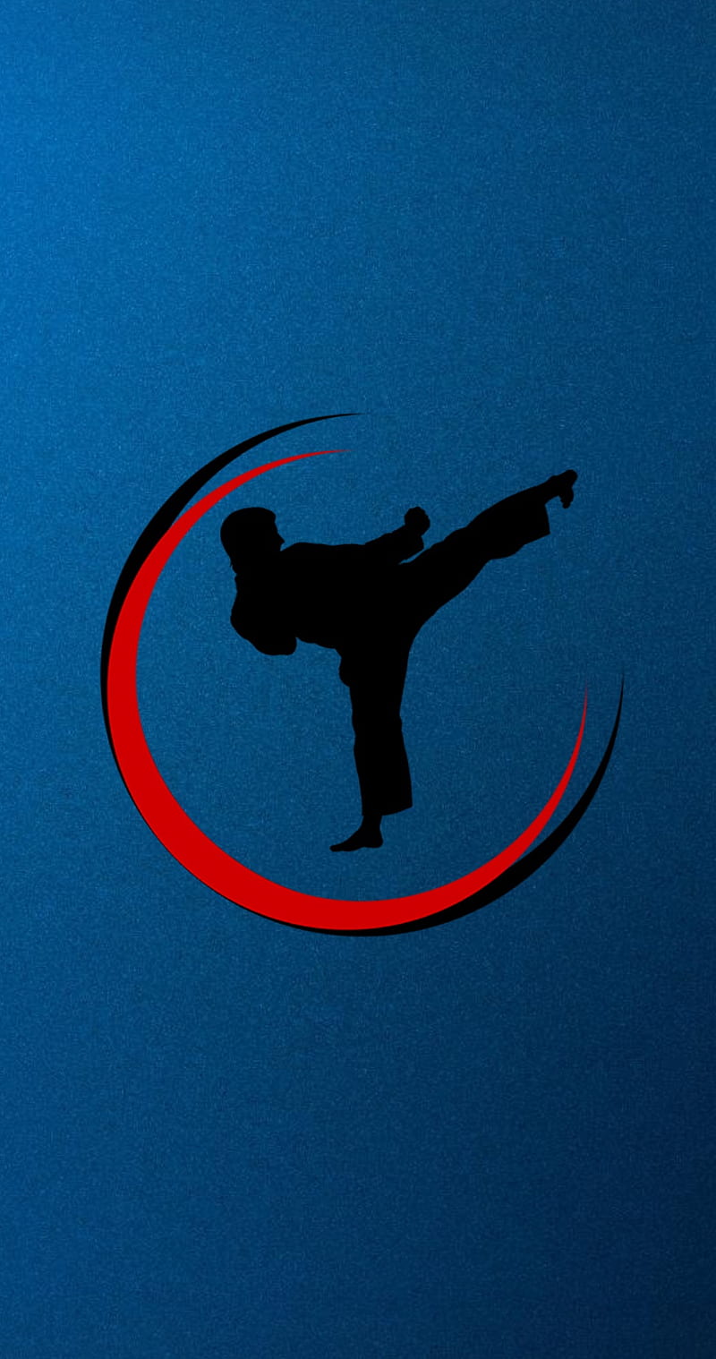 Martial Arts, black belt, gris, karate, kata, taekwondo, HD phone wallpaper  | Peakpx