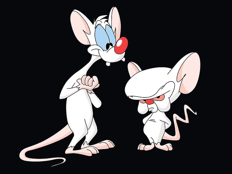 Tv Show, Pinky And The Brain, HD wallpaper