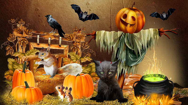 Spooky Time, black cat, jack o lantern, crow, Halloween, scarecrow, pumpkins, raven, bats, mice, squirrels, witches brew, HD wallpaper