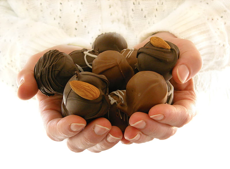 chocolat delight for Purple-Haze, delight, truffles, sweets, chocolate, HD wallpaper