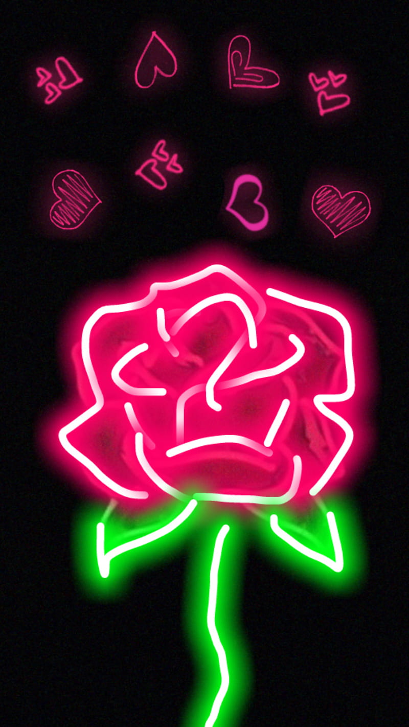 Rose light, aesthetic, aesthetic rose, roses, valentine