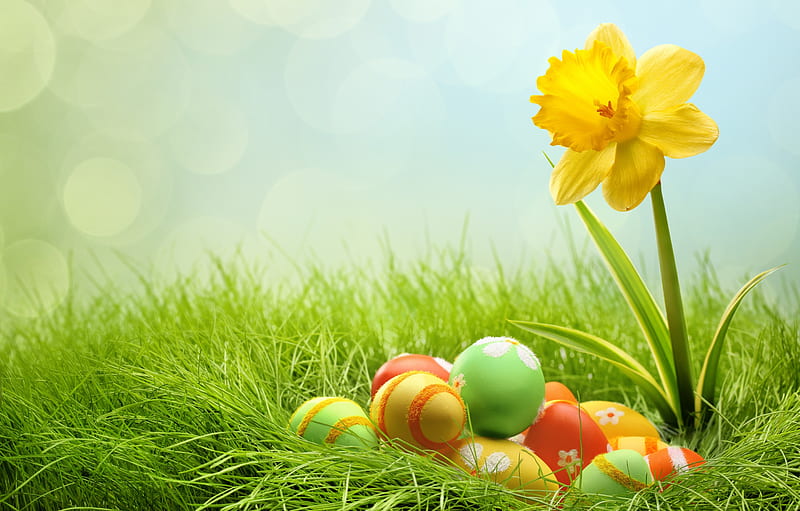 Easter, spring time, grass, easter eggs, spring, yellow flowers, flowers, nature, happy easter, HD wallpaper