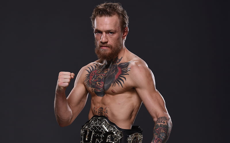 Conor McGregor, UFC Champion, Irish fighter, portrait, titles, boxer, Ireland, HD wallpaper