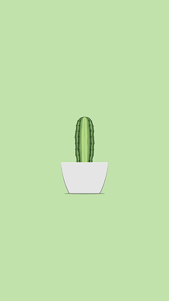 Green cactus in gray pot, HD wallpaper | Peakpx