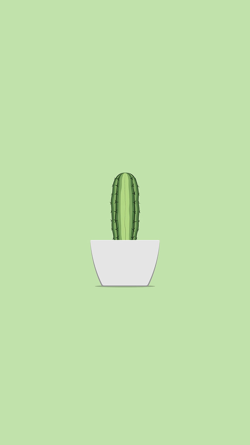 Little Cactus 1, art, green, illustration, pot, HD phone wallpaper | Peakpx