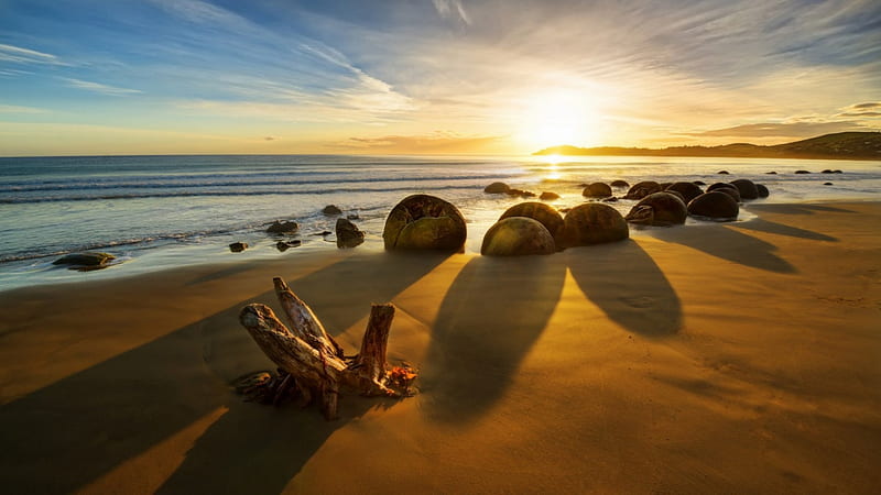 sunrise on a new zealand beach, driftwood, beach, rocks, sunrise, sea, HD wallpaper