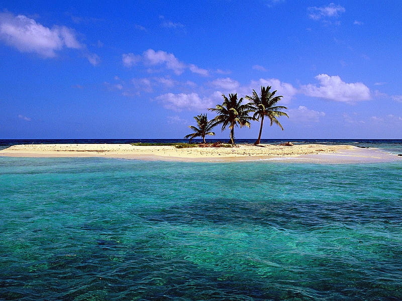Sandy Island, Belize, water, clouds, sky, sea, palms, HD wallpaper
