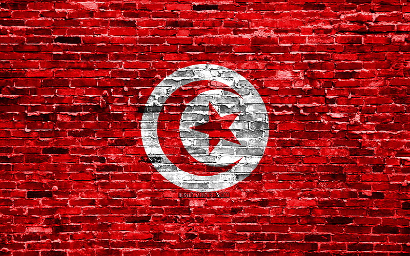 Tunisian flag, bricks texture, Africa, national symbols, Flag of Tunisia, brickwall, Tunisia 3D flag, African countries, Tunisia, HD wallpaper