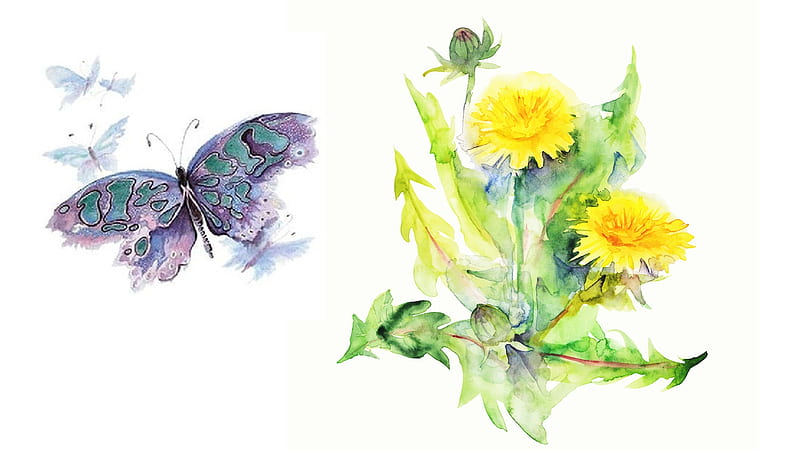 Watercolor Dandelions & Butterfly, weed, paint, dandelions, spring, floral, butterfly, summer, flowers, Firefox Persona theme, watercolor, HD wallpaper