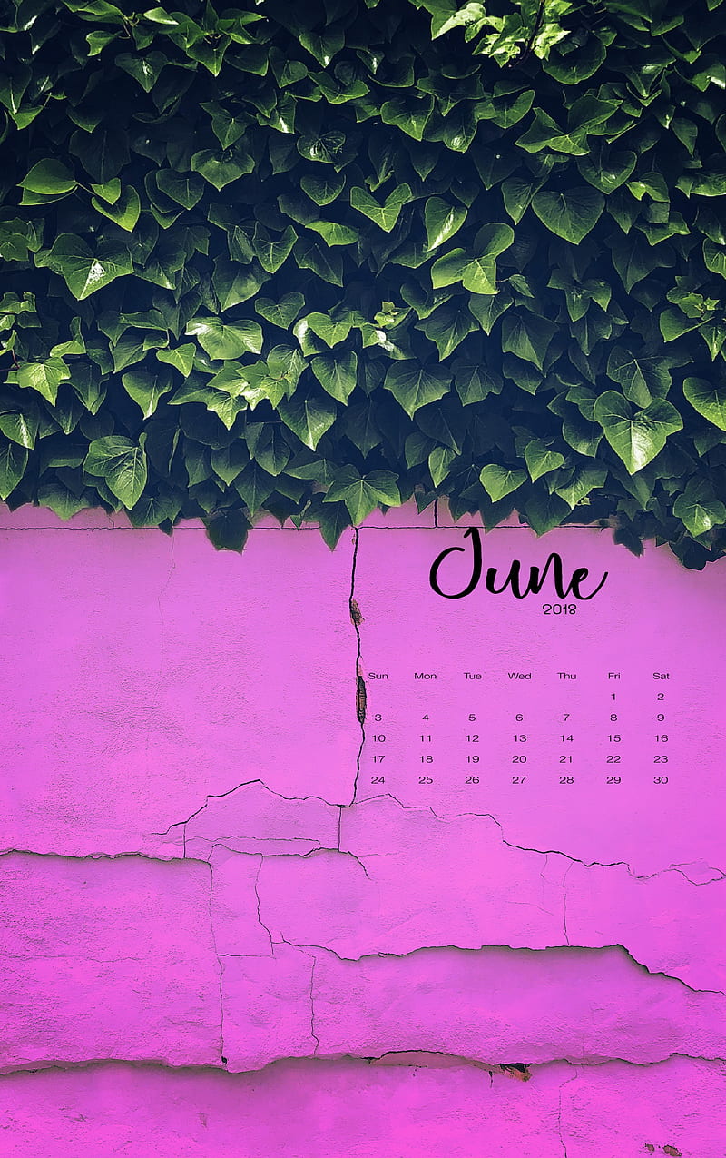 June Pink and Green, 2018, calender, greenery, june calendar, june2018, nature, wall, HD phone wallpaper