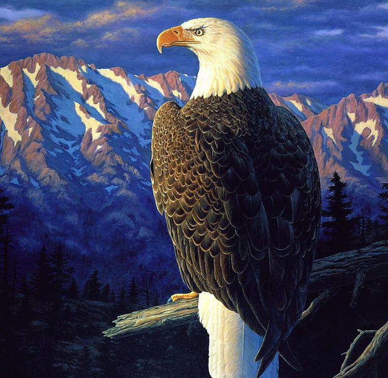 Morning Quest, mountains, painting, artwork, Eagle, landscape, HD wallpaper