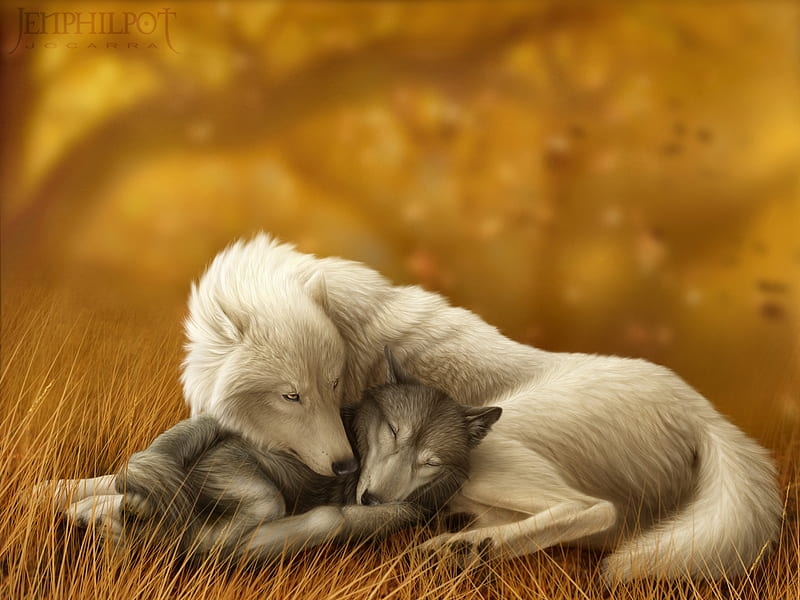 wolf mates VII, illustration, arts, nice, fantasy, big, painting, huge, fur, forest, giant, sleeping, cute, cool, peaceful, digital, wolf, white, tradional, HD wallpaper