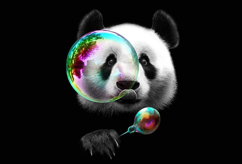 Panda, fantasy, bear, bubbles, black, white, creative, pink, HD wallpaper