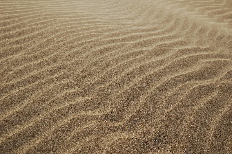 sand dunes during daytime, HD wallpaper
