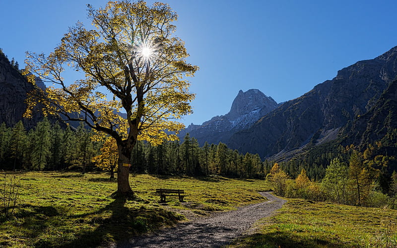 mountain, mountain landscape, forest, sun, Alps, Austria, Tyrol, Karwendel, HD wallpaper