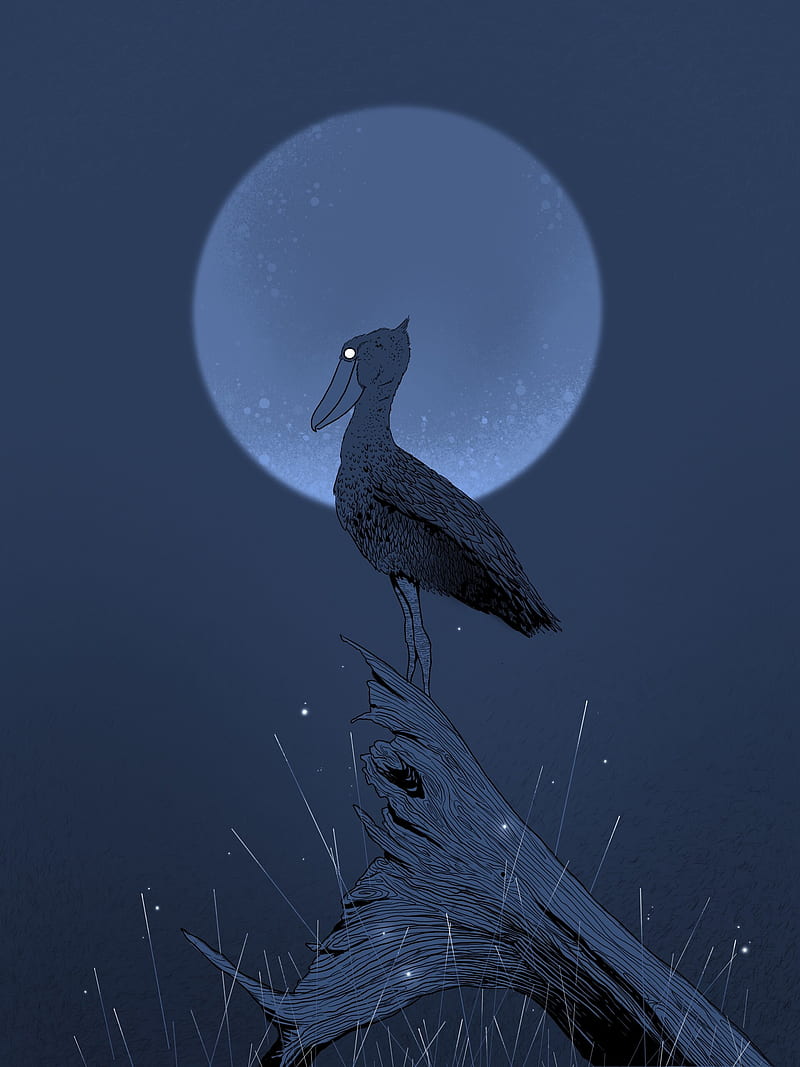 pelican, stump, night, moon, bird, art, HD phone wallpaper