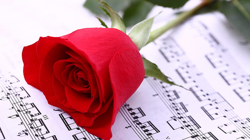 flower music notes backgrounds