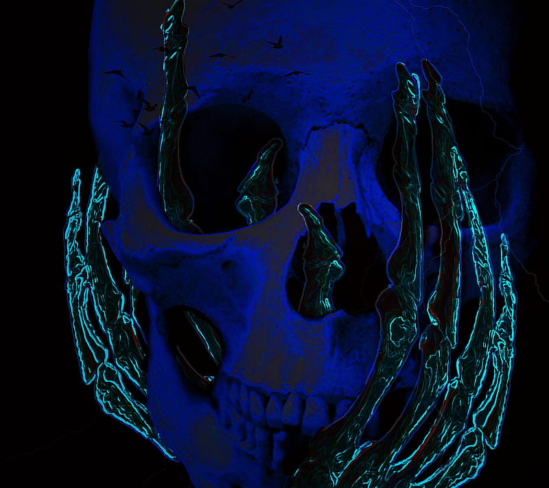 Hold Your Head up, skeleton, skull, HD wallpaper