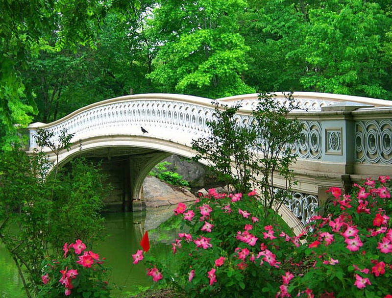 Central park-Bow bridge in spring, pretty, bonito, central park, bridge, green, flowers, river, reflection, lovely, greenery, emerald, America, spring, trees, bow bridge, New York, nature, branches, HD wallpaper