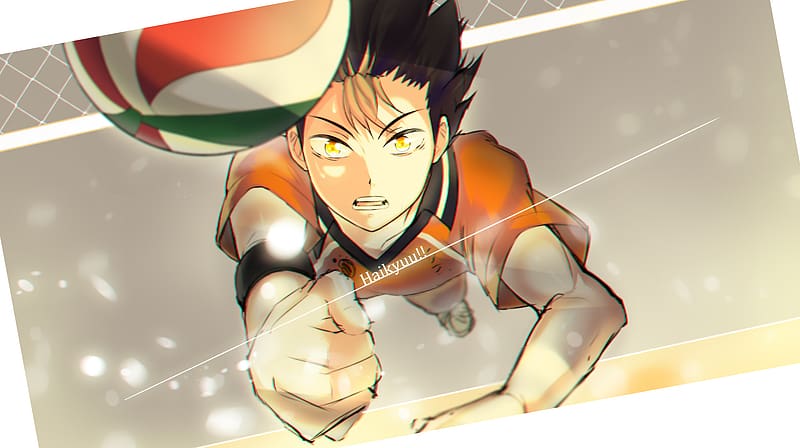 Mobile wallpaper: Anime, Haikyu!!, Yū Nishinoya, 906028 download the  picture for free.