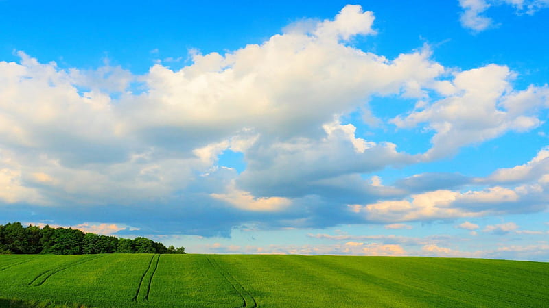 bliss, nature, sky, field, HD wallpaper