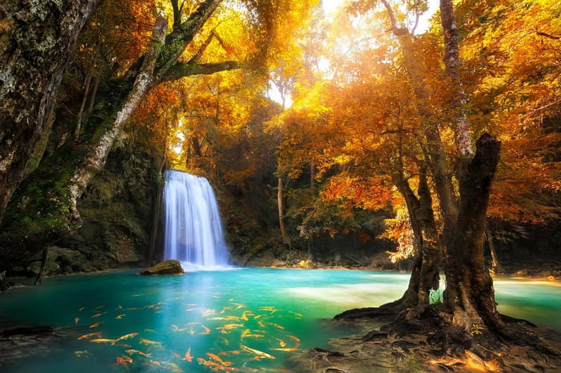 Erawan Heaven, forest, autumn, Thailand, fish, turquoise water, bonito, trees, waterfalls, lagoon, paradise, Erawan Falls, tropical, HD wallpaper