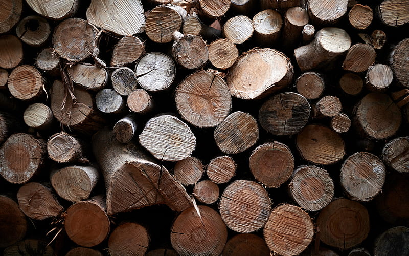 Wooden logs texture, wood texture, Wooden logs background, wood log texture, background with Wooden logs, HD wallpaper