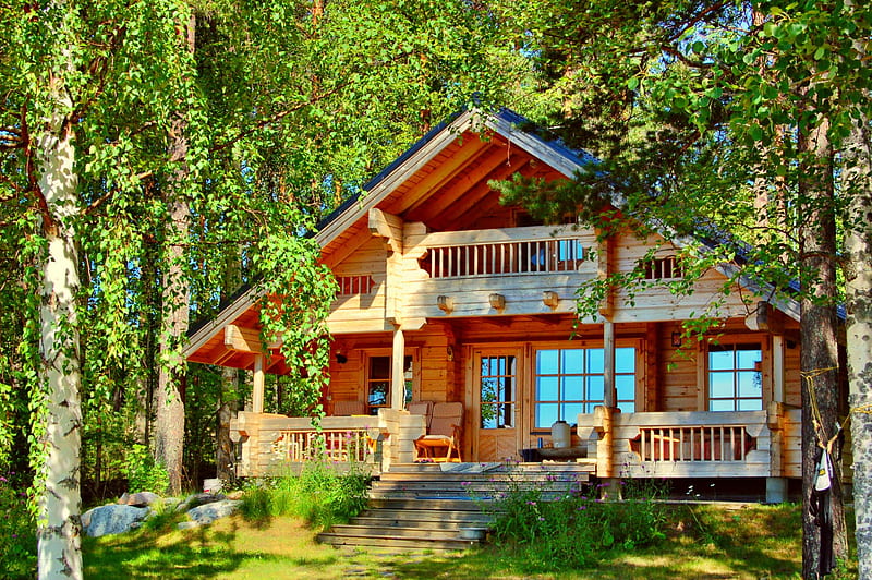 house in the forest, the, forest, house, in, HD wallpaper