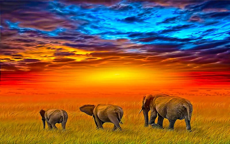 Elephants, Animal, African Bush Elephant, HD wallpaper
