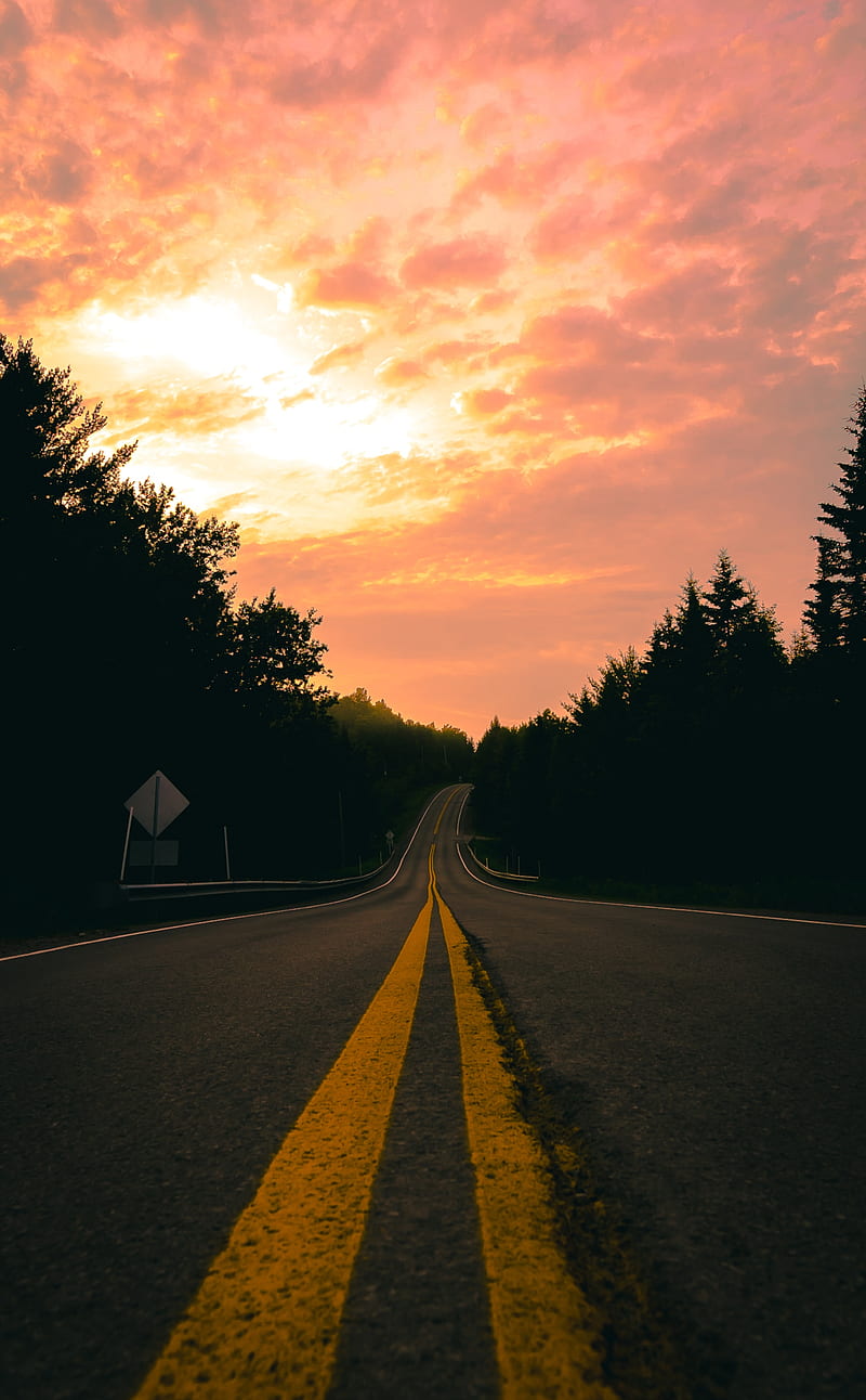 road, turn, marking, forest, sunset, HD phone wallpaper