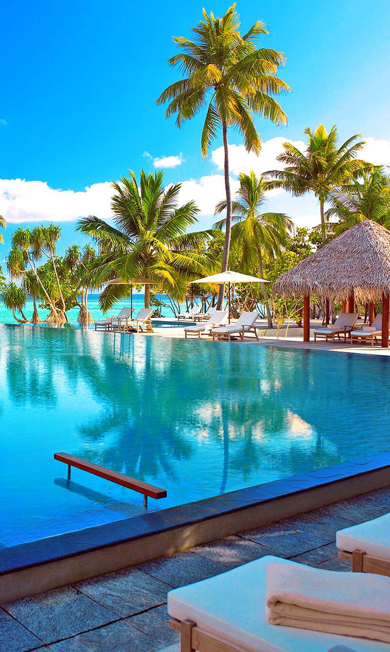 Maldives Resort, holiday, island, maldives, pool, resort, tropical, vacation, HD phone wallpaper