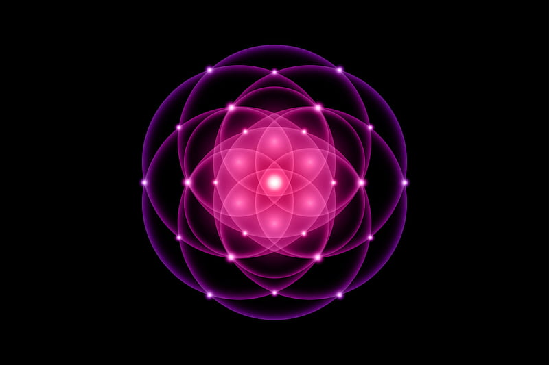 Seed of life, Sacred Geometry, Flower of Life, light logo Symbol of Harmony and Balance, Glowing Geometrical Ornament, purple lotus vector isolated on black background 5005690 Vector Art at Vecteezy, HD wallpaper