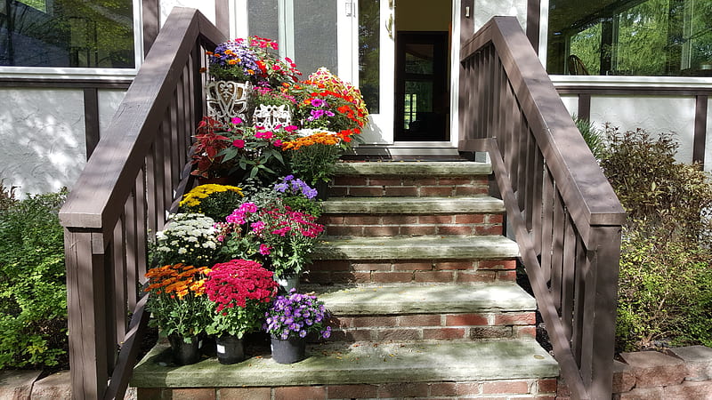 Back steps -- Autumn, back steps, flowers, brecksville, Brecksvillekc, HD wallpaper