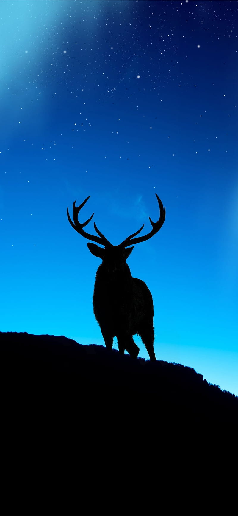 deer iPhone, Galaxy Deer, HD phone wallpaper
