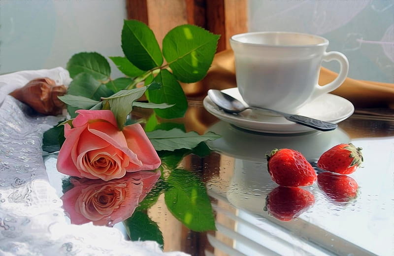 Flower, tea, abstract, rose, HD wallpaper | Peakpx