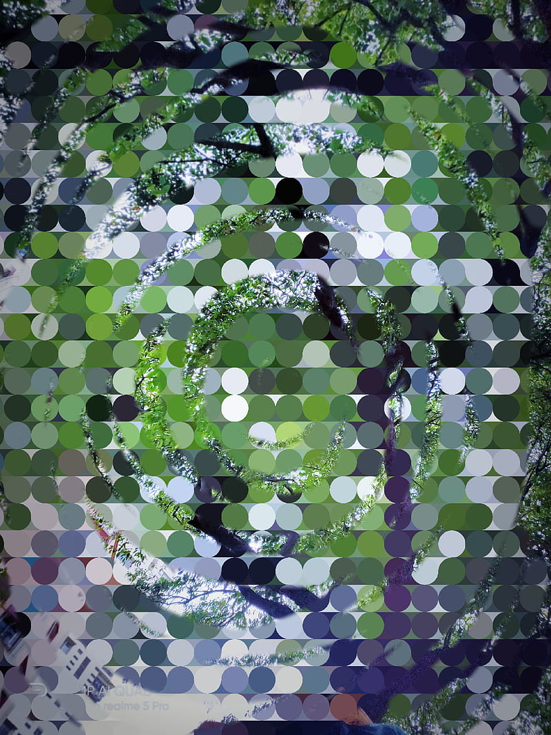 Puzzle , apple, bacteria, cactus, dot, tree, HD phone wallpaper