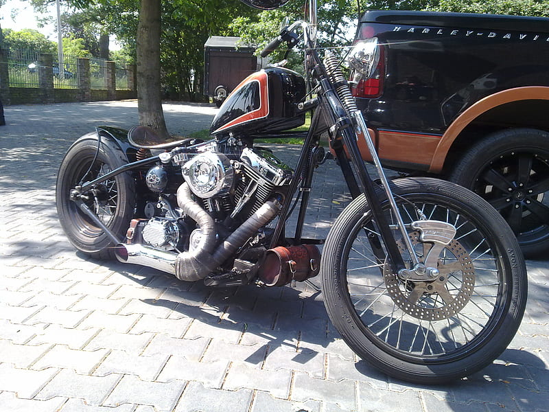 Harley-Davidson, hardtaill, davidson, harley, motorcycle, HD wallpaper