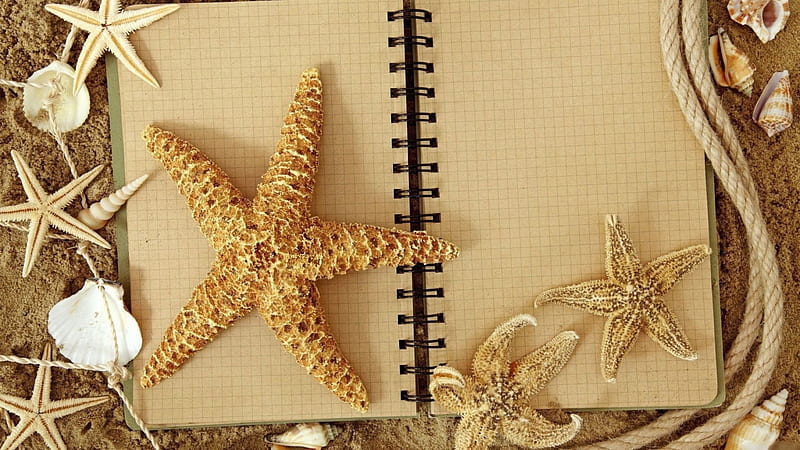 Beachy Starfish Notepad, Romantic, Note, Beachy, starfish, HD wallpaper