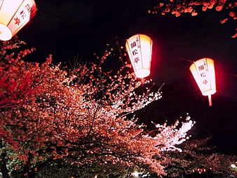 HD japanese lantern festival wallpapers | Peakpx